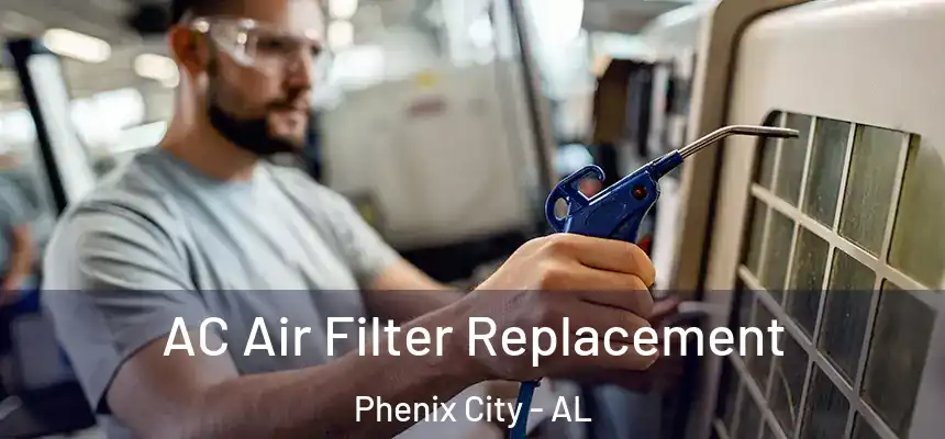  AC Air Filter Replacement Phenix City - AL