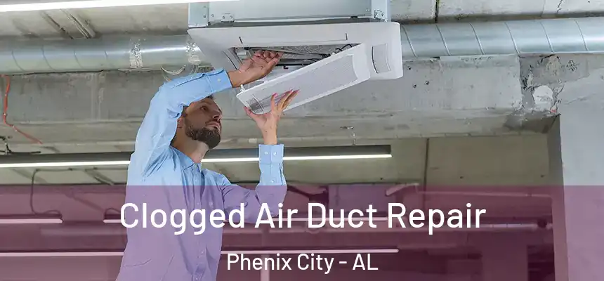  Clogged Air Duct Repair Phenix City - AL