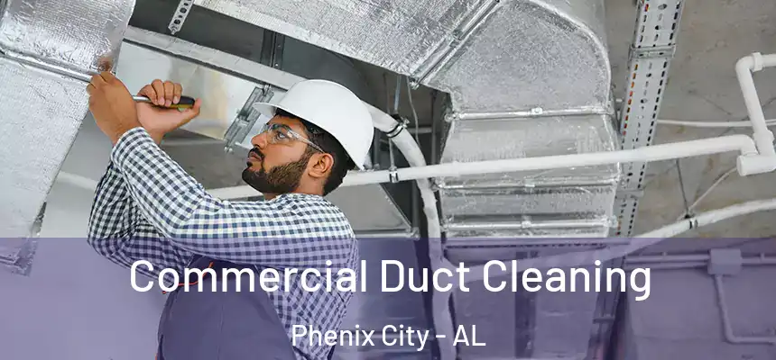  Commercial Duct Cleaning Phenix City - AL