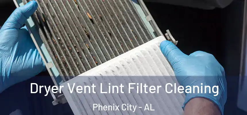  Dryer Vent Lint Filter Cleaning Phenix City - AL