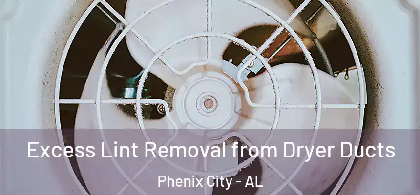  Excess Lint Removal from Dryer Ducts Phenix City - AL