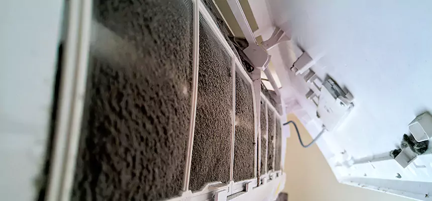 Preventive Air Duct Bacteria Removal in Phenix City