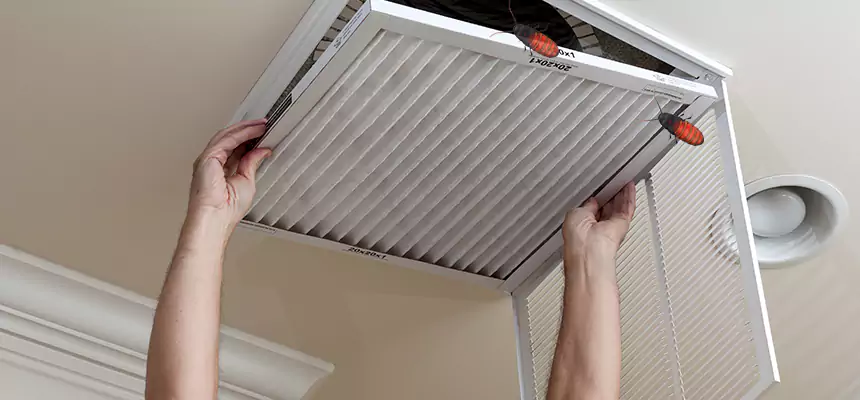 Preventive Cockroach-Proofing for Ducts in Phenix City