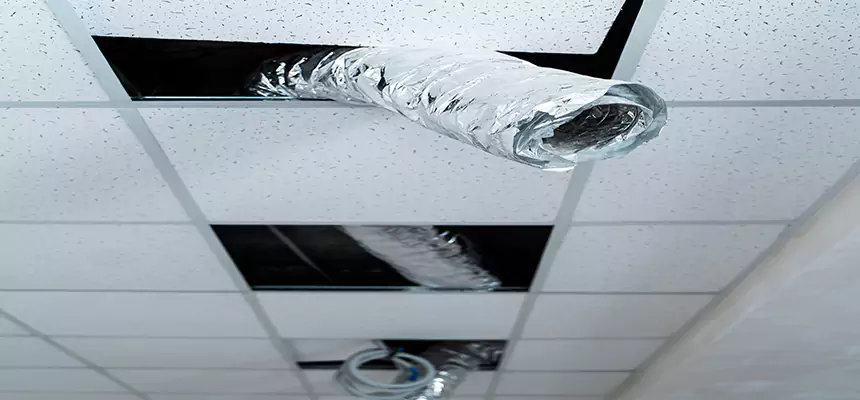 Our Air Duct Pet Hair Removal Services in Phenix City, AL