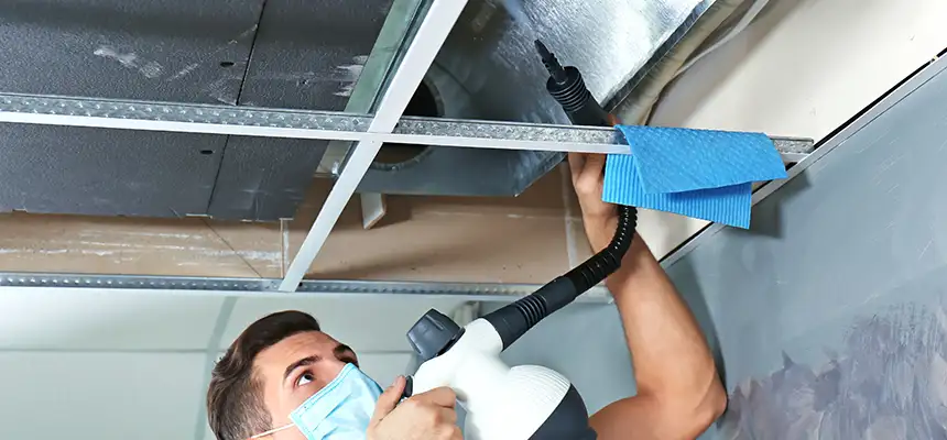 Our Air Duct Rodent Removal Services in Phenix City, AL
