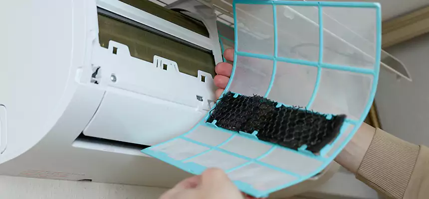 Gentle Ductwork Odor-Control Pet Dander Duct Cleaning in Phenix City, AL