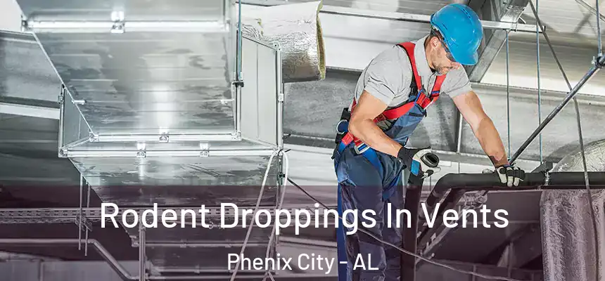 Rodent Droppings In Vents Phenix City - AL
