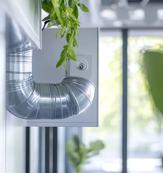 Professional Eco-Safe Dryer Vent Cleaning in Phenix City, AL