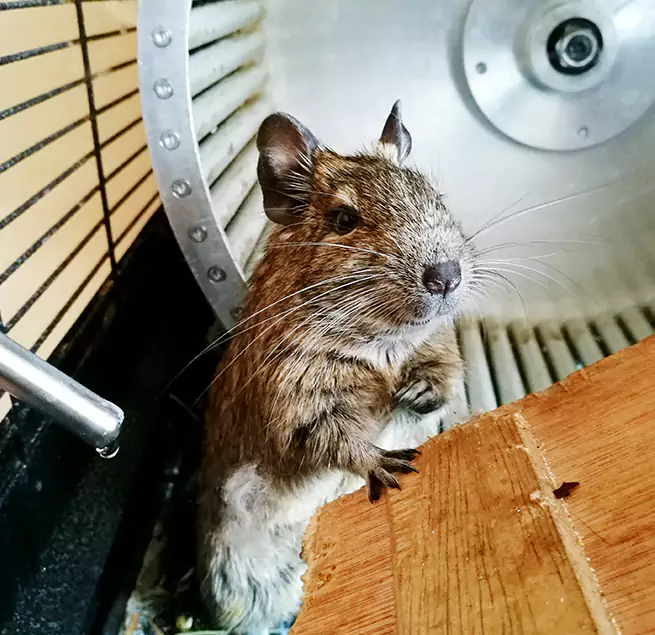 Why Homeowners & Businesses Trust Us Phenix City, AL?